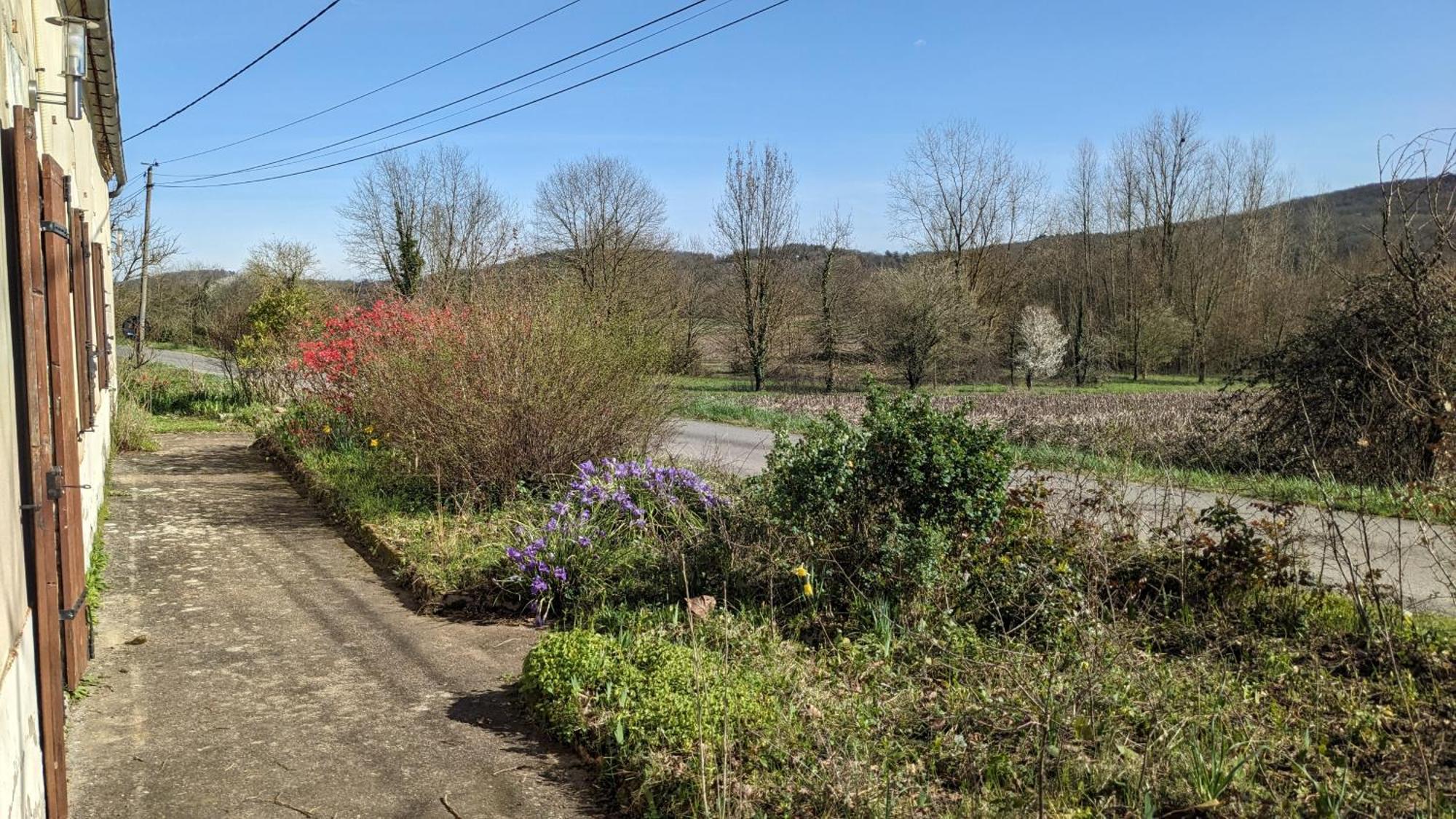 Maison Au Calme En Dordogne Trémolat Eksteriør billede